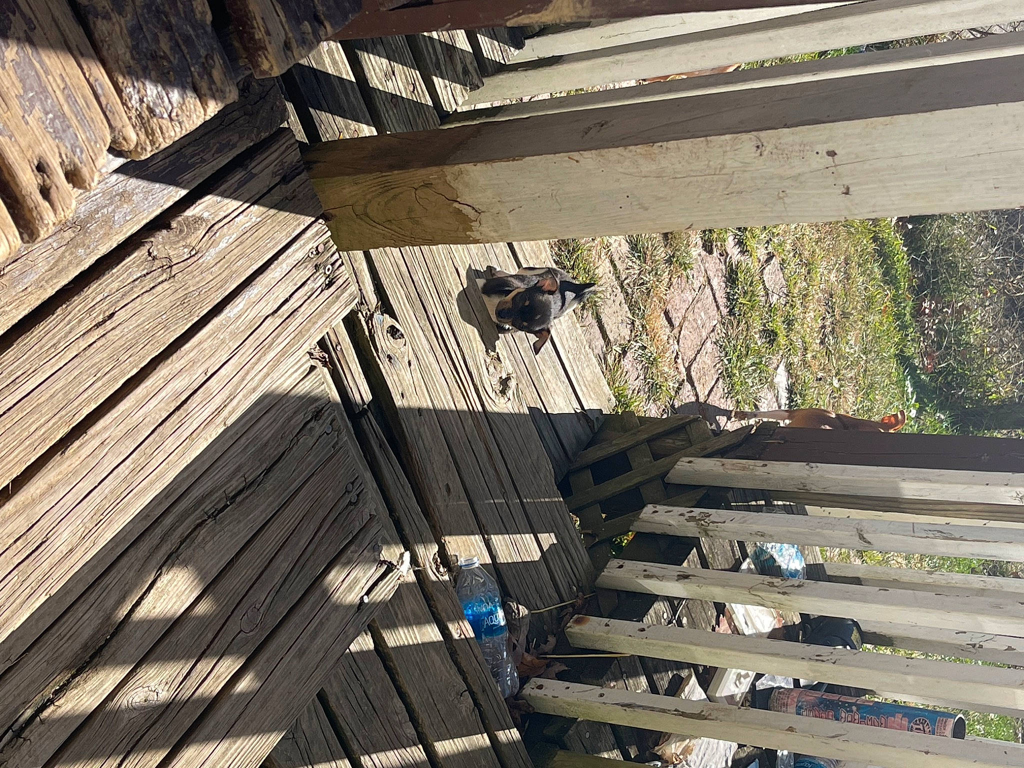 Tiny is registered to the contest to win money with this photo: beam, building, ceiling, composite_material, flooring, hardwood, lumber, metal, pattern, plank, plywood, roof, room, shadow, steel, tints_and_shades, tree, wood, wood_flooring, wood_stain