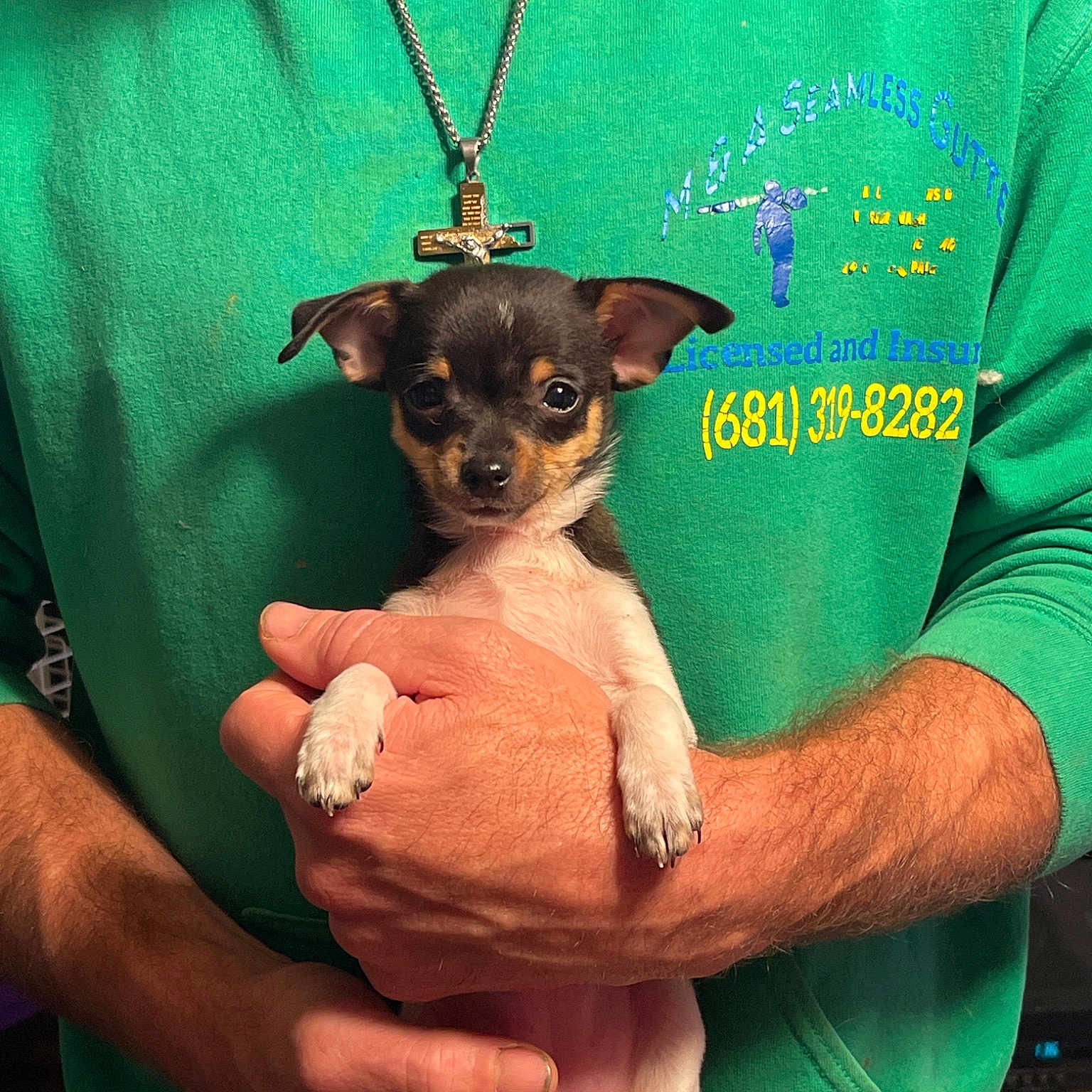 Tiny