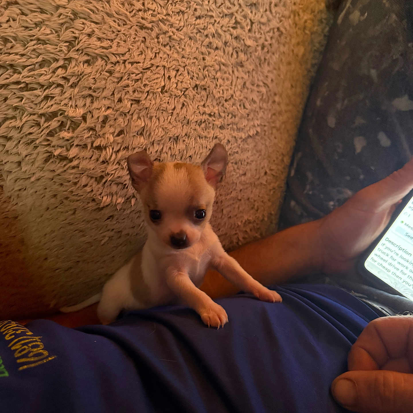 Max