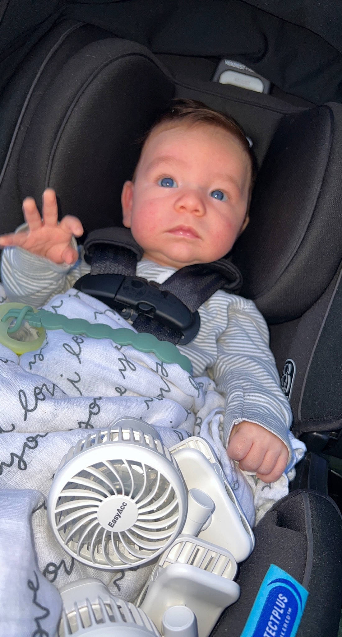 Jayden joined the competition — help win amazing prizes! automotive_design, baby, baby_in_car_seat, baby_safety, baby_toddler_clothing, beauty, black, car, car_seat, car_seat_cover, cheek, child, comfort, eye, head_restraint, person, seat_belt, sleeve, toddler, vehicle_door