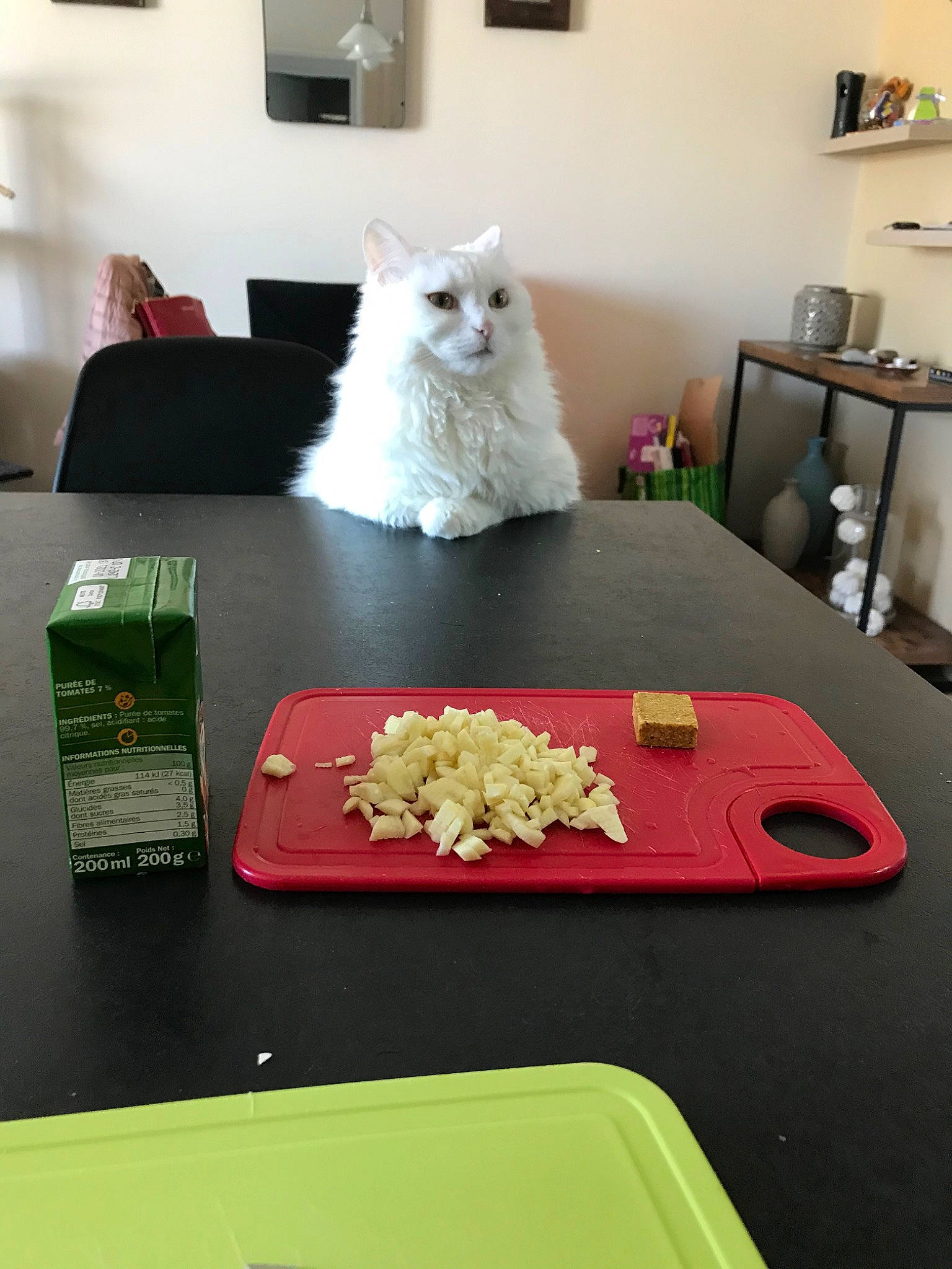 Nala participe au concours pour gagner de l'argent avec cette photo : carnivore, cat, felidae, floor, persian, room, small_to_medium_sized_cats, table, whiskers