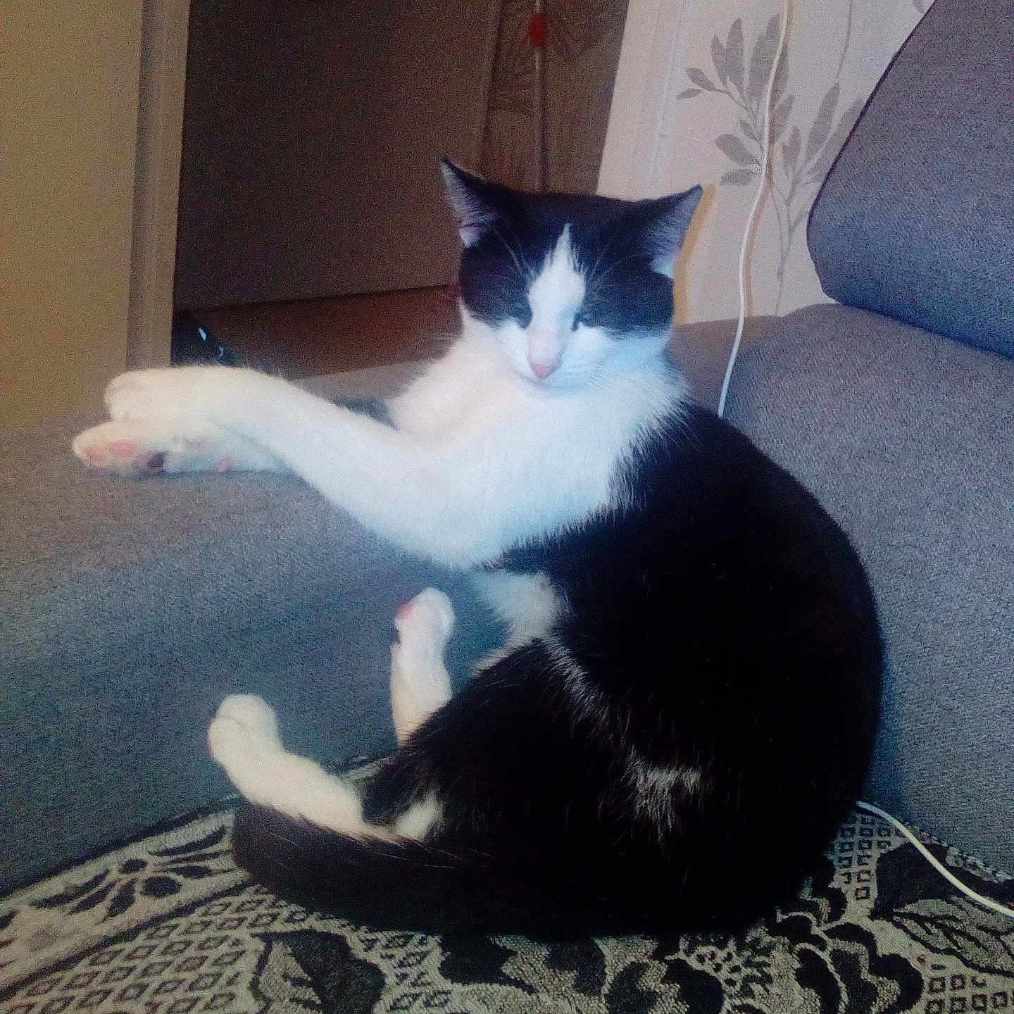 Extazy participe au concours pour gagner de l'argent avec cette photo : animal, armrest, black_and_white, cat, couch, cozy, domestic_animal, feline, fur, household, indoor, living_room, patterned_cushion, pet, pink_paw, relaxed, resting, seated, sleepy, whiskers