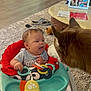 baby, dog, baby_seat, toy, living_room, floor, slippers, carpet, table, chair, photo_frame, interaction, curious, indoor, person, animal, furniture, footwear, cute, pet