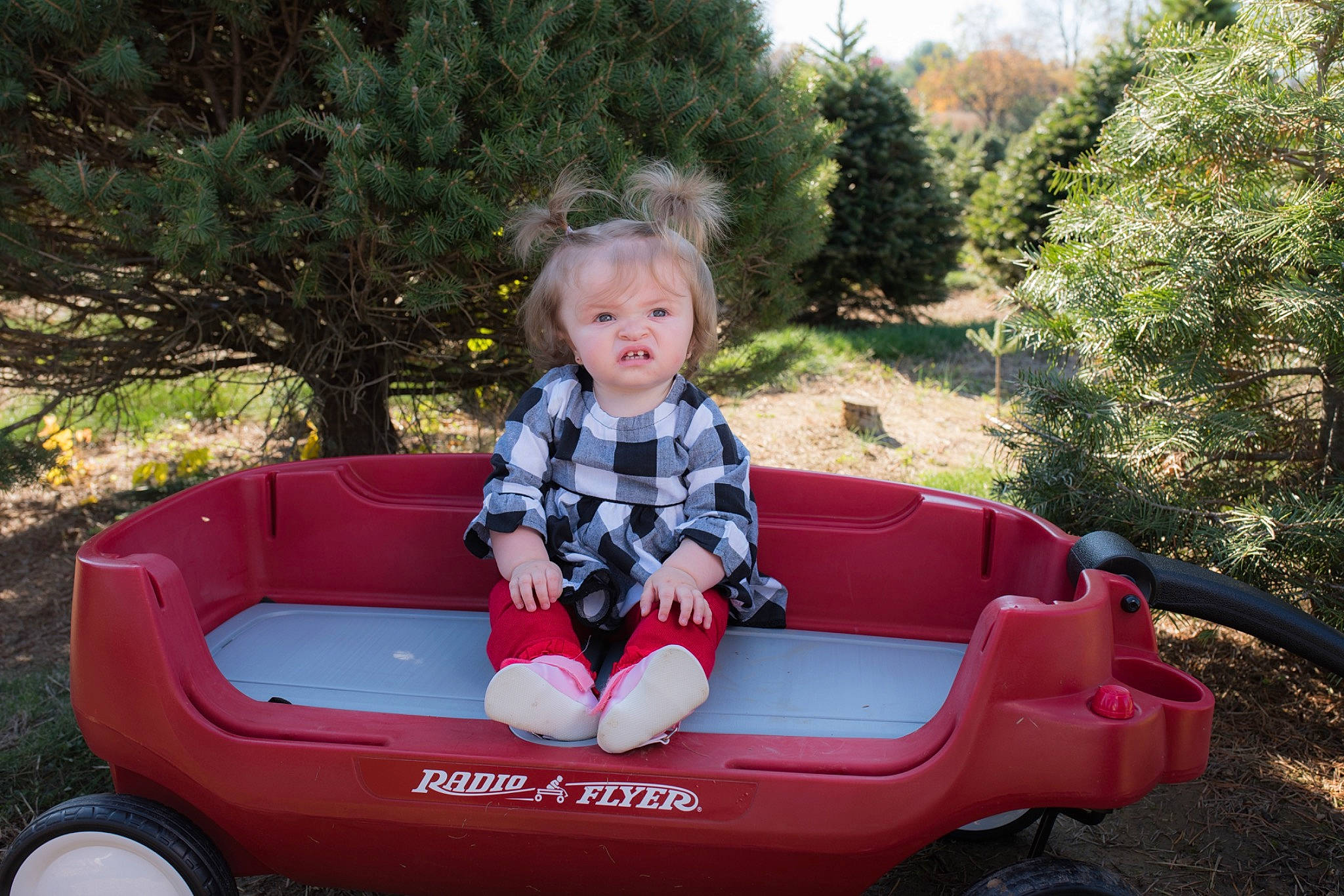 Avè is registered to the contest to win money with this photo: baby, baby_toddler_clothing, child, conifer, evergreen, fun, lap, outdoor_play_equipment, person, pink, play, playground, riding_toy, sitting, toddler, toy