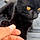 Bagheera