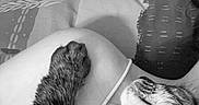 Rio a rejoint le concours — aidez-le/la à gagner de superbes lots ! animal, back, bed, bodypart, canine, cat, clothing, dog, face, finger, furniture, hand, head, person, pet, photography, portrait, skin, swimwear, tattoo