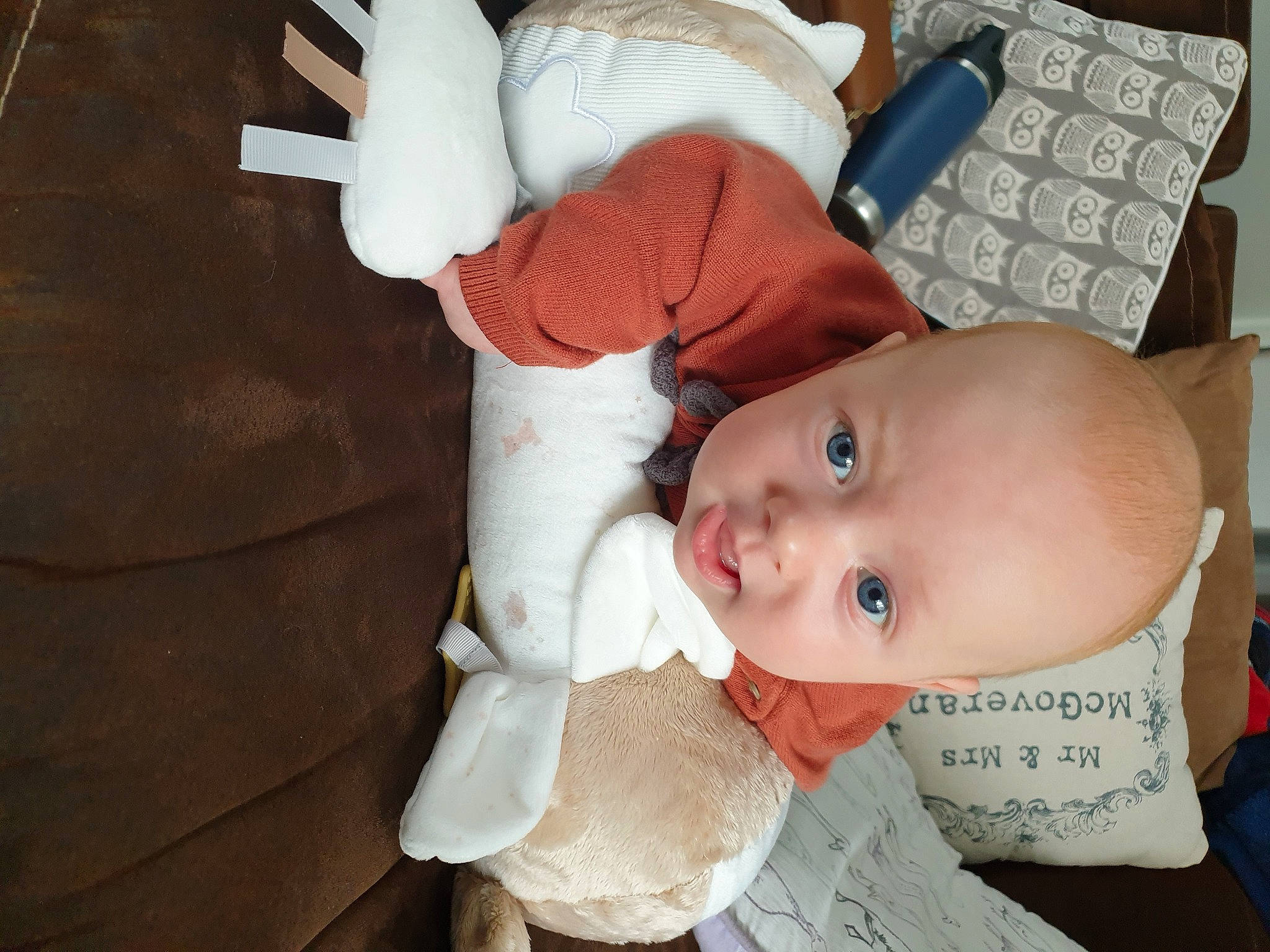 Frank joined the competition — help win amazing prizes! baby, baby_toddler_clothing, cheek, comfort, computer_keyboard, eye, eyelash, finger, human_body, input_device, iris, lip, mouth, nose, peripheral, person, skin, textile, toddler, white