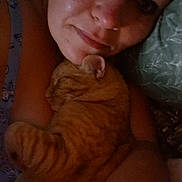 Tober is registered to the contest to win money with this photo: arm, bed, cat, close_up, comfort, cozy, cuddle, face, fur, indoor, intimate, orange_tabby, person, pet, pillow, relaxed, resting, skin, sleeping, whiskers