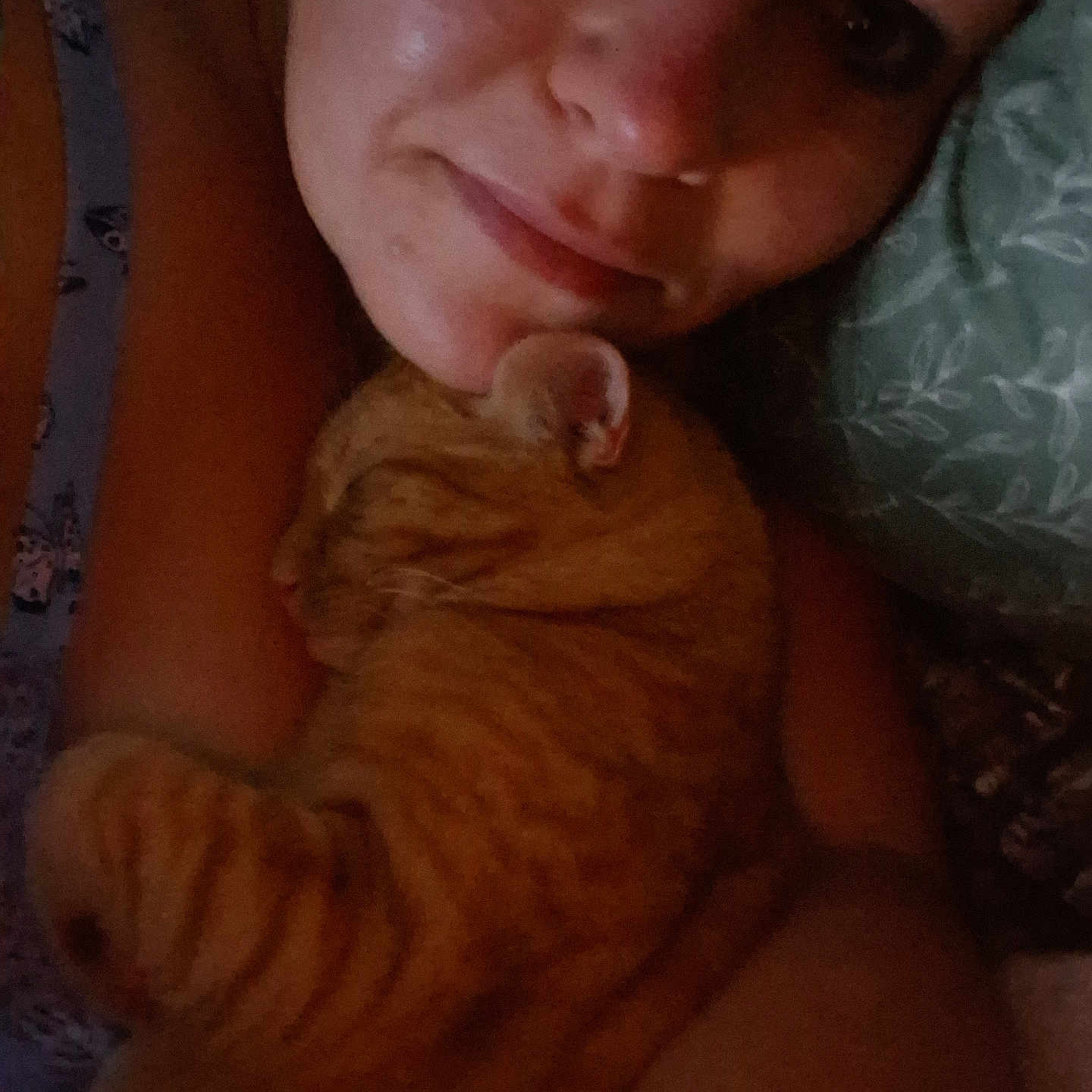 Tober is registered to the contest to win money with this photo: arm, bed, cat, close_up, comfort, cozy, cuddle, face, fur, indoor, intimate, orange_tabby, person, pet, pillow, relaxed, resting, skin, sleeping, whiskers