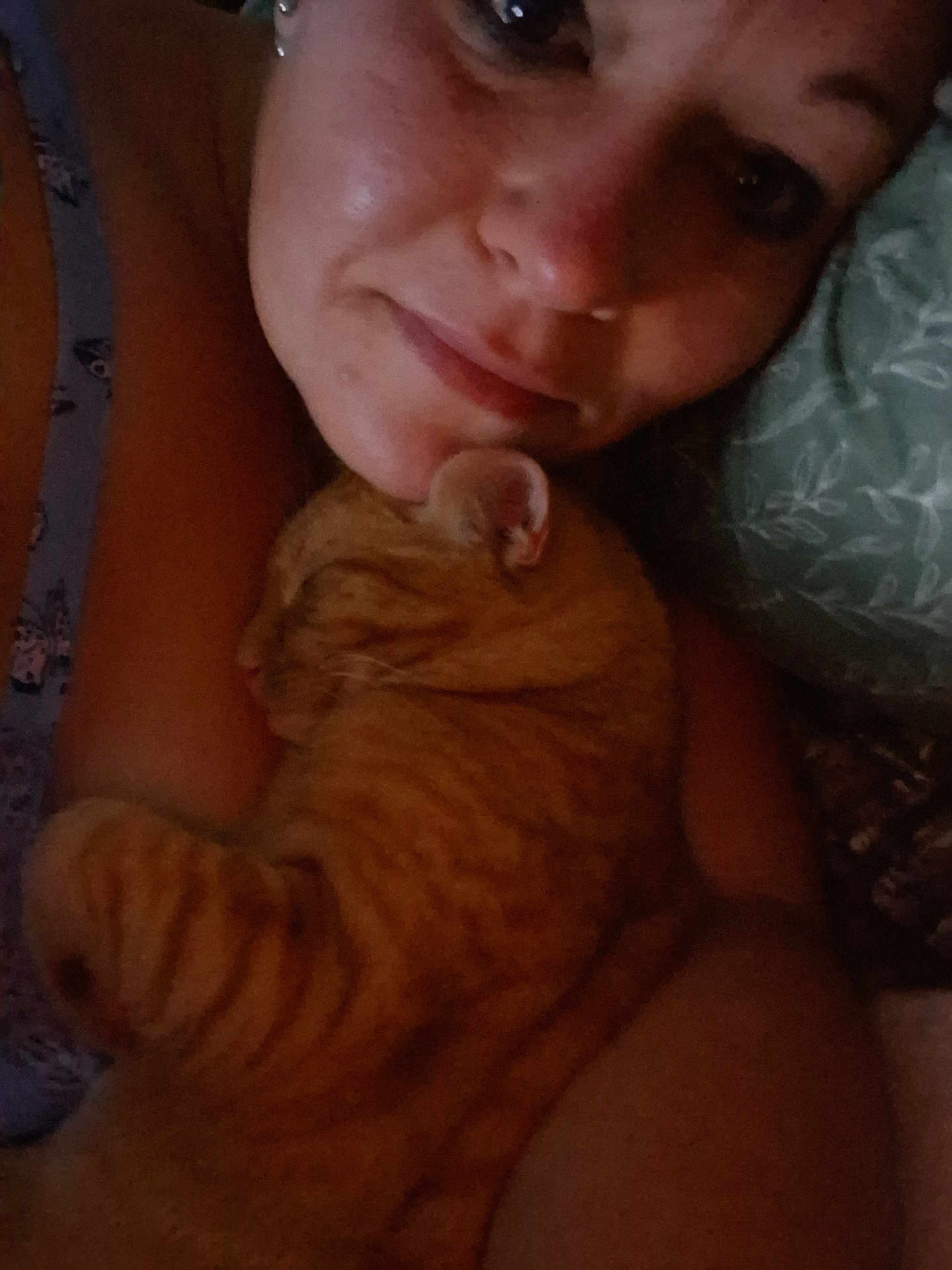 Tober is registered to the contest to win money with this photo: arm, bed, cat, close_up, comfort, cozy, cuddle, face, fur, indoor, intimate, orange_tabby, person, pet, pillow, relaxed, resting, skin, sleeping, whiskers