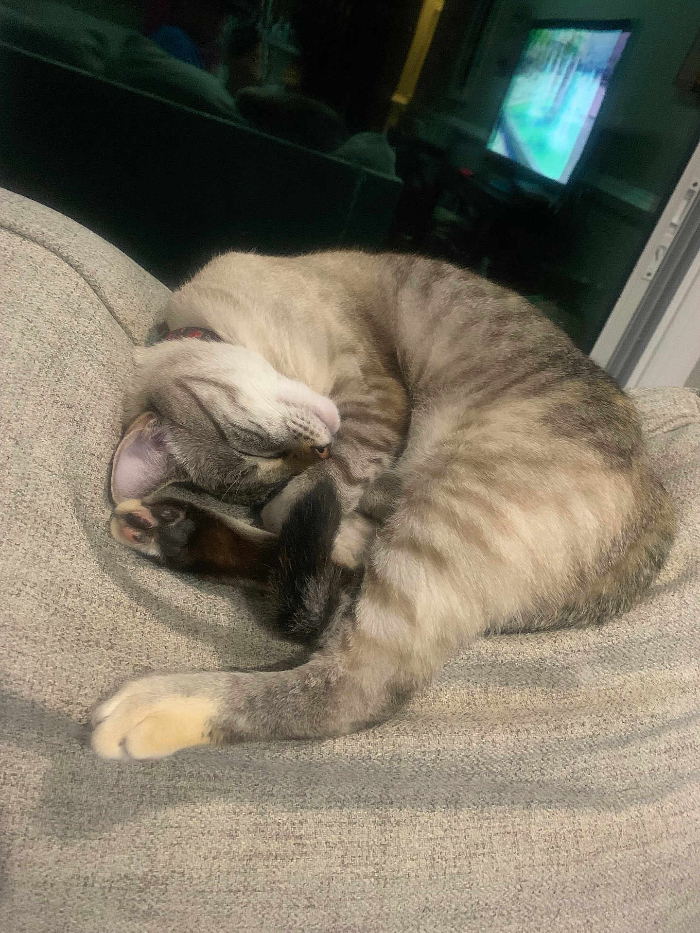 Pretzel