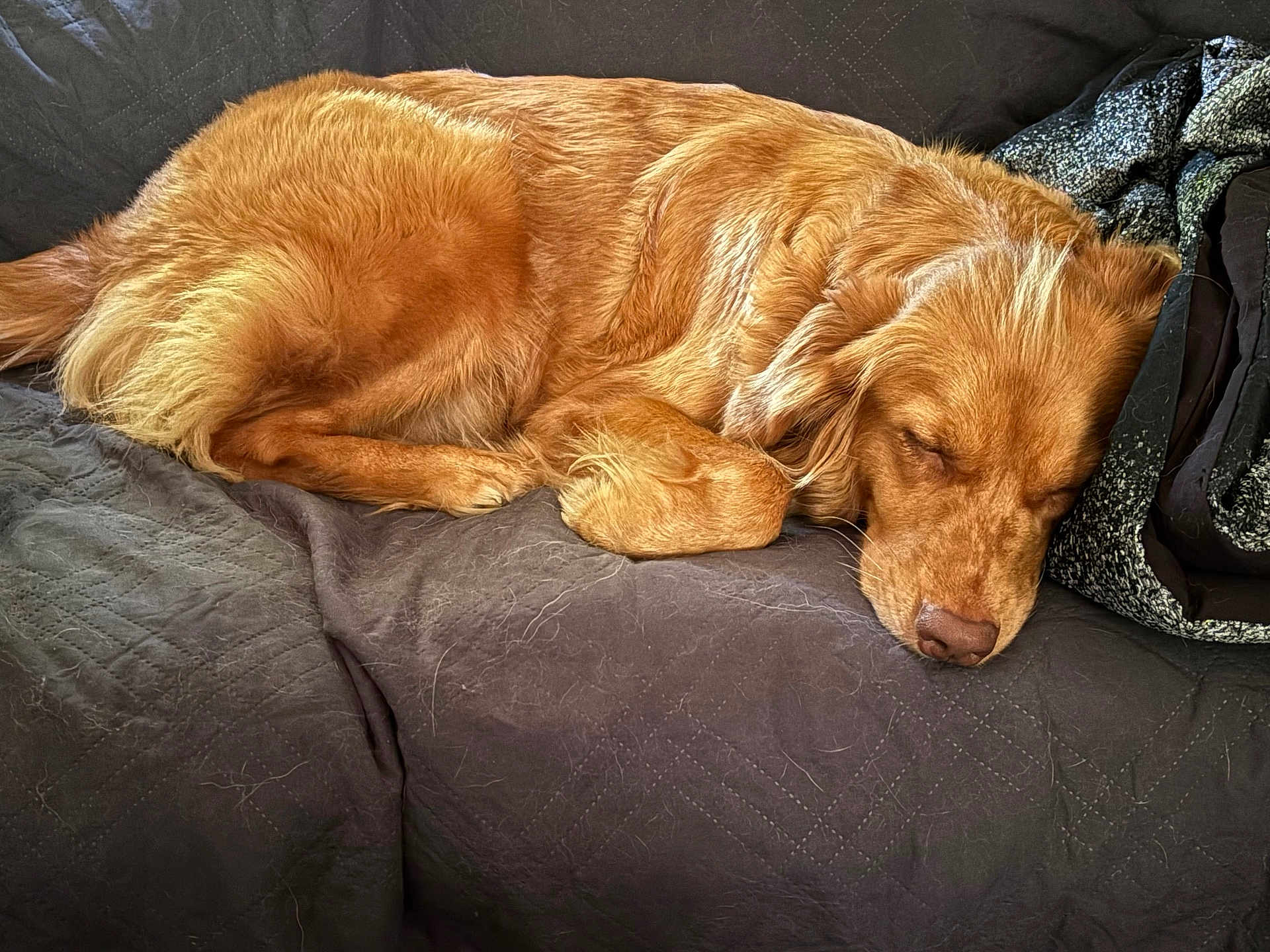 Athena