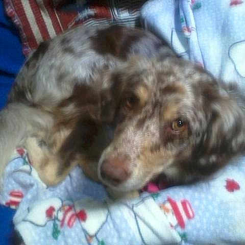 Meyiah joined the competition — help win amazing prizes!