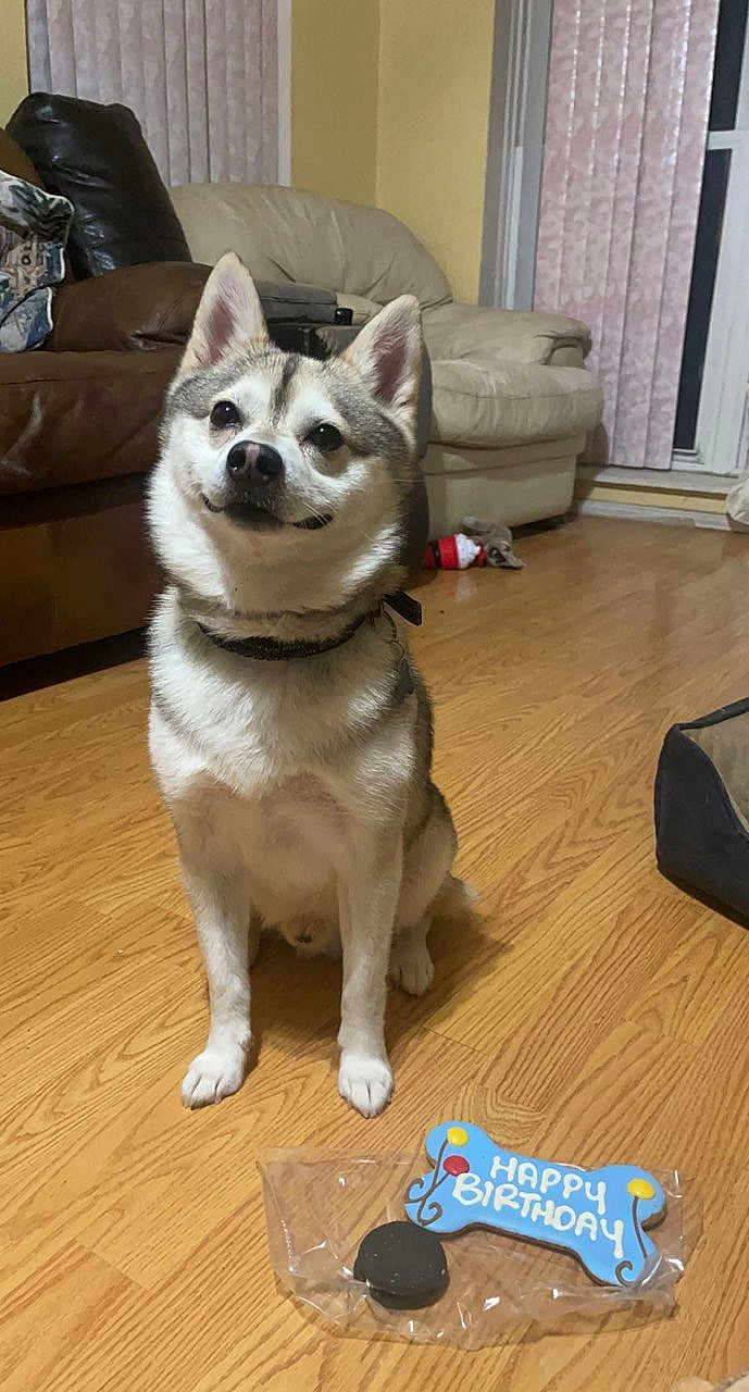 Pharaoh