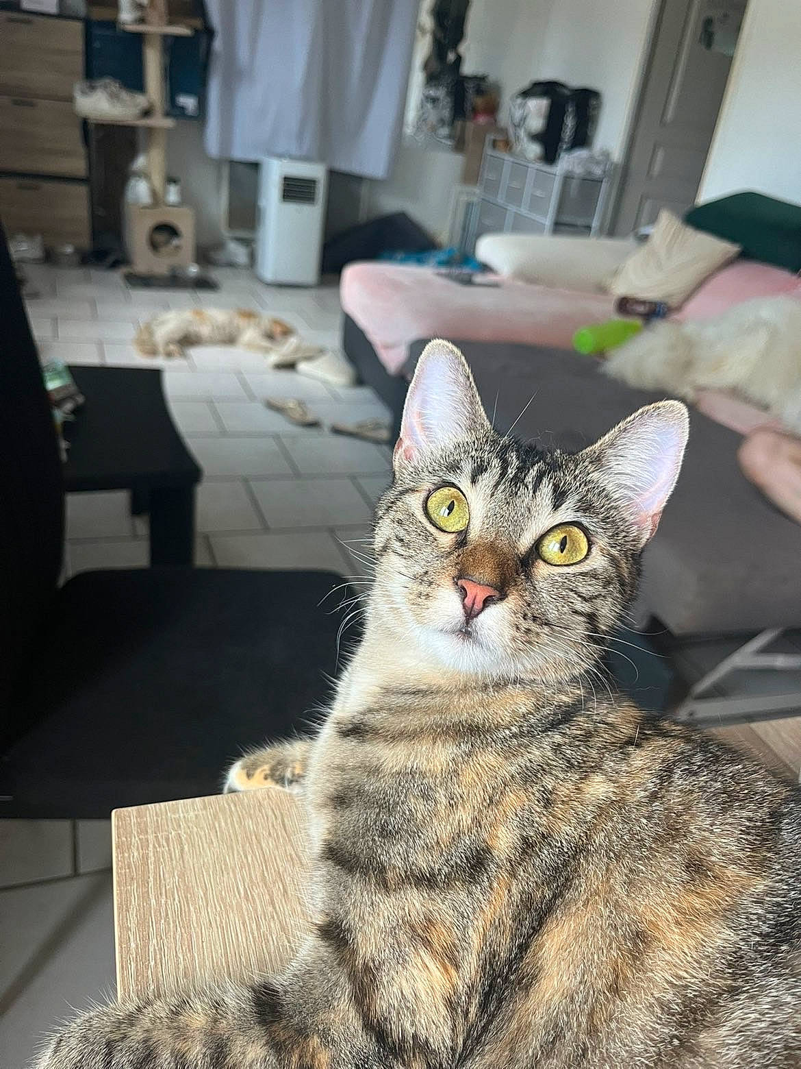 Kiki
