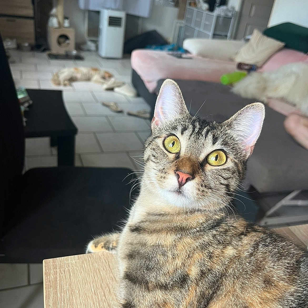 Kiki