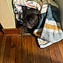 dog, blanket, floor_vent, wood_floor, indoor, cozy, snuggling, black_dog, wrapped, pet, home, warm, comfort, curious, resting, fur, animal, companion, domestic, quiet