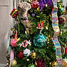 Bean is registered to the contest to win money with this photo: animal, cat, celebration, christmas_tree, colorful, curious, decorations, feline, festive, greenery, holiday, holiday_decor, home, indoor, lights, ornaments, pet, ribbon, tinsel, tree_top