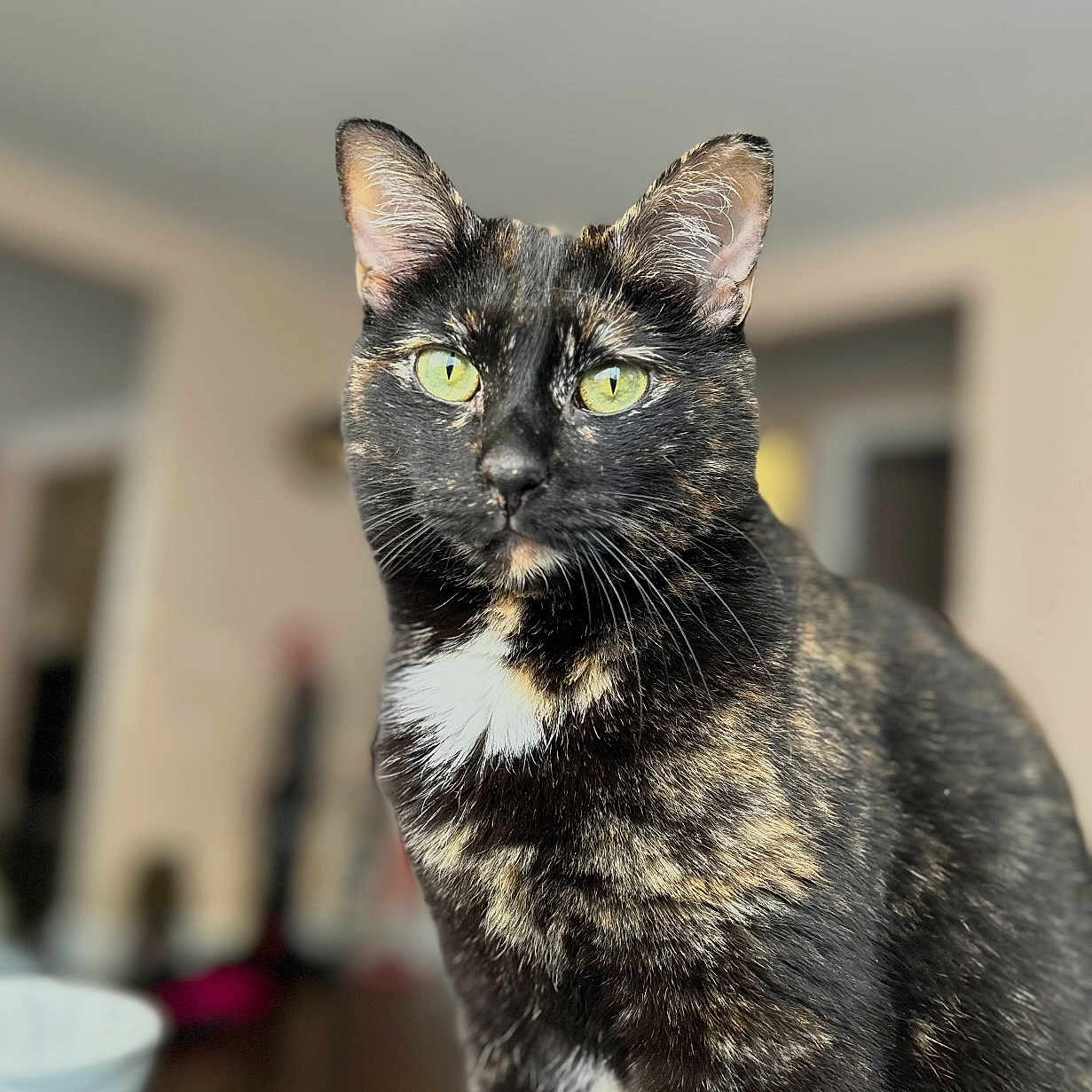 Luna