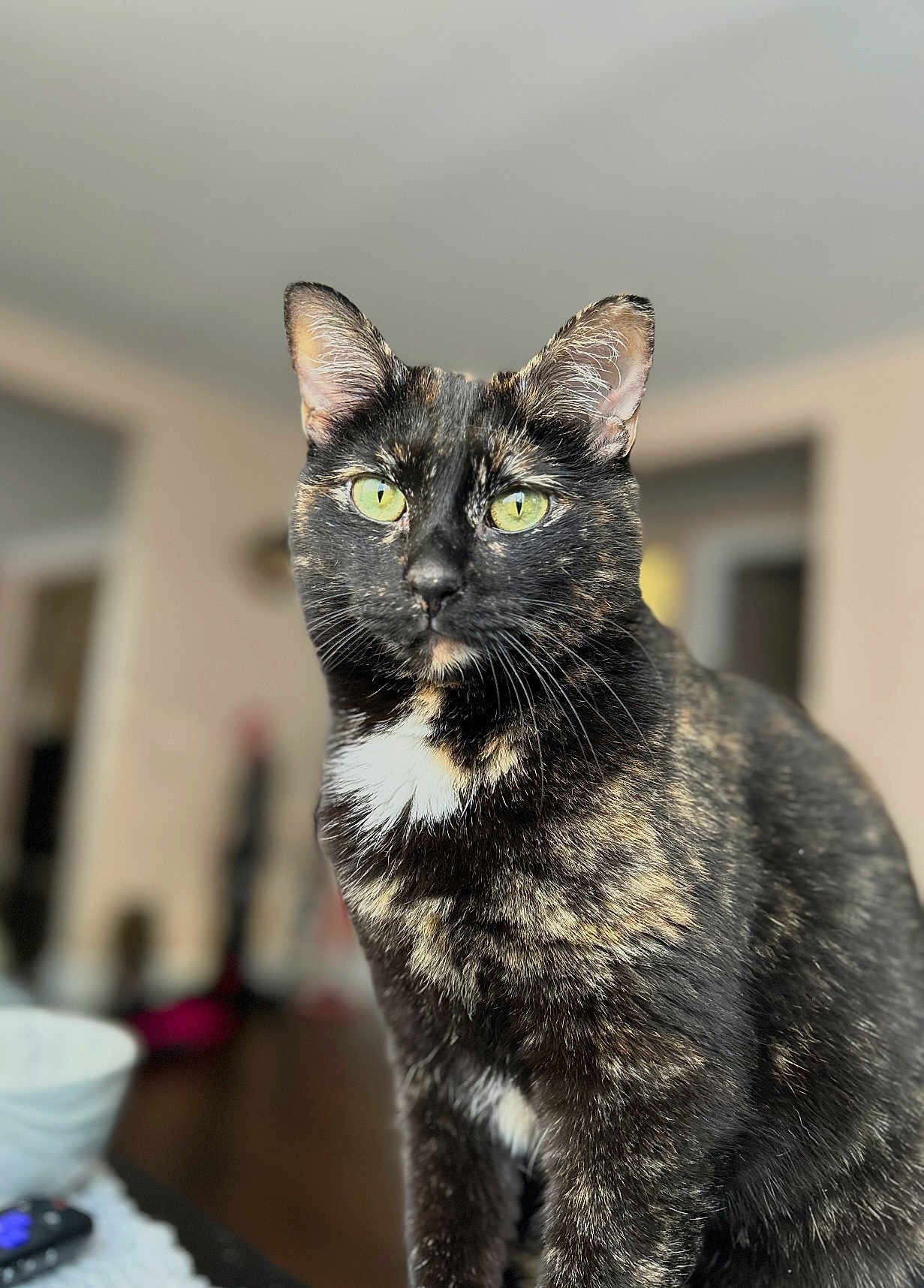 Luna