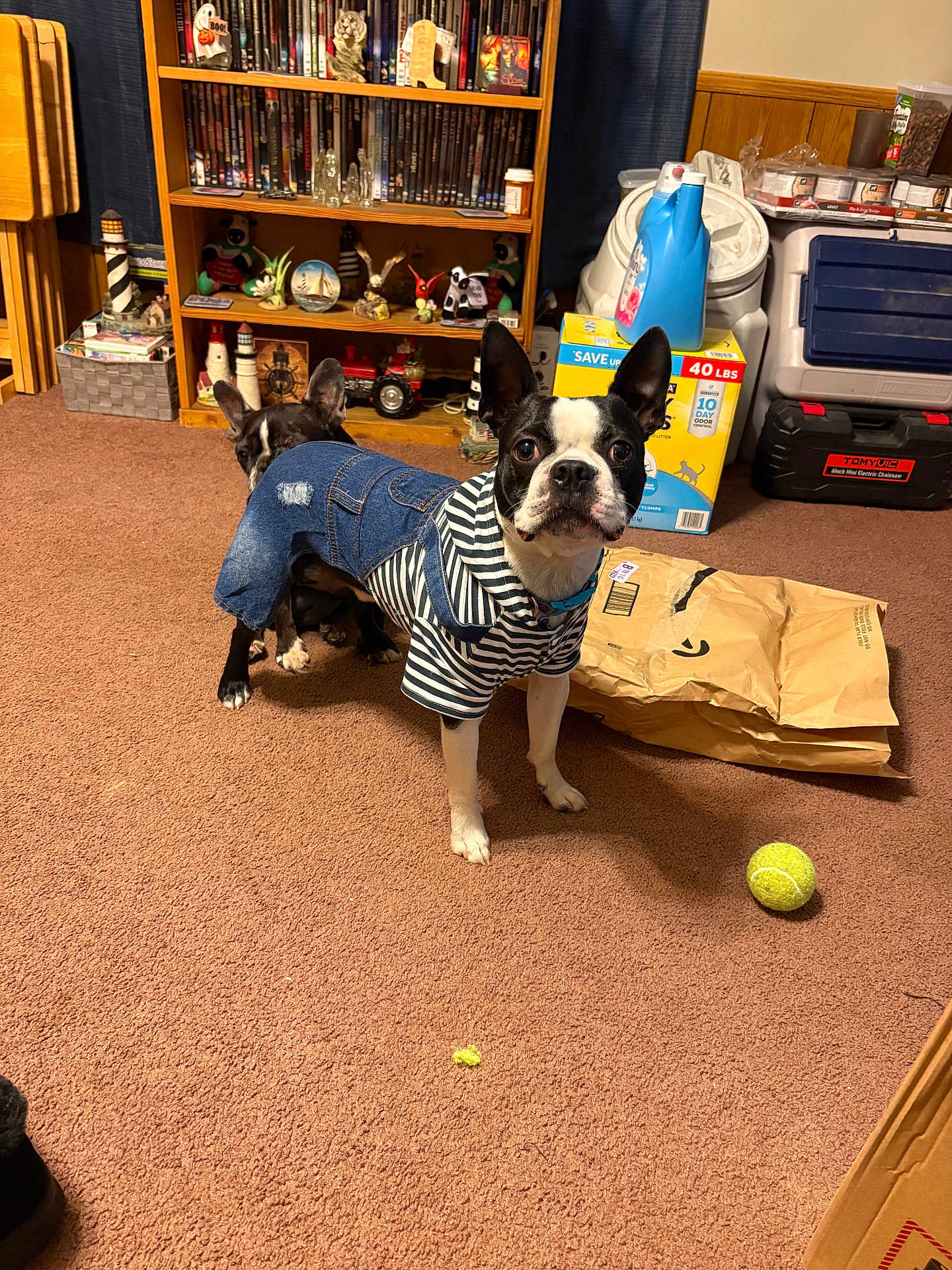 Mister Harley