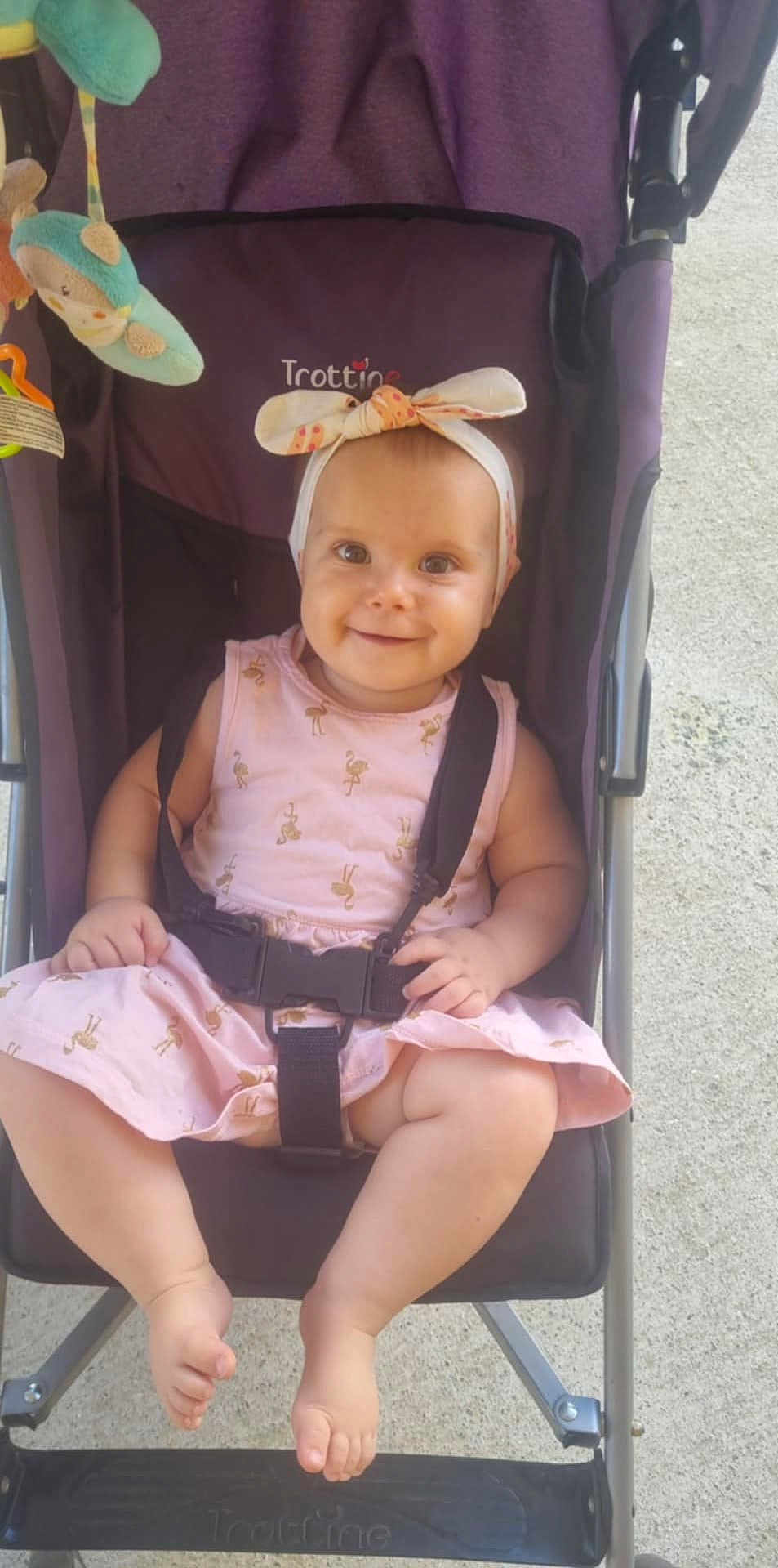 Apolline a rejoint le concours — aidez-le/la à gagner de superbes lots ! baby, child, stroller, smile, headband, pink_dress, flamingo_pattern, toy, purple_stroller, happy, cute, infant, sitting, outdoor, footrest, straps, baby_clothes, face, person, sunlight