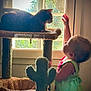 Sofia is registered to the contest to win money with this photo: toddler, child, cat, cat_tree, window, sunlight, indoor, curious, green_dress, carpeted, cactus_shape, pet, animal, baby, person, interaction, home, furniture, light, silhouette
