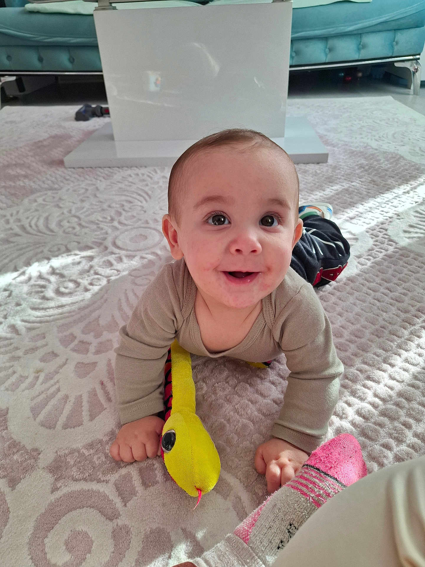 Kénaï participe au concours pour gagner de l'argent avec cette photo : baby, child, toy, plush, carpet, floor, living_room, smiling, happy, infant, crawling, clothing, sock, face, eyes, hand, home, interior, furniture, soft_toy