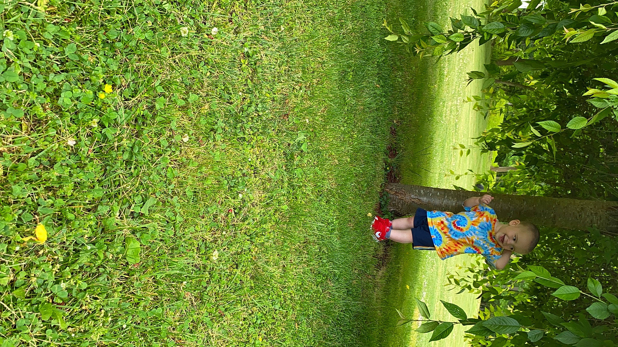 Jakub joined the competition — help win amazing prizes! art, elbow, fun, garden, grass, grass_family, grassland, green, groundcover, joy, landscape, lawn, leisure, natural_landscape, people_in_nature, person, plant, shrub, terrestrial_plant, tree