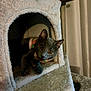 Maya joined the competition — help win amazing prizes! cat, gray_cat, pet, indoor, cat_condo, plush, cozy, feline, animal, curious, collar, striped_collar, yellow_eyes, soft_texture, resting, cute, domestic_cat, pet_accessory, home, relaxed