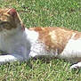 Prince participe au concours pour gagner de l'argent avec cette photo :