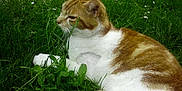 Prince participe au concours pour gagner de l'argent avec cette photo :