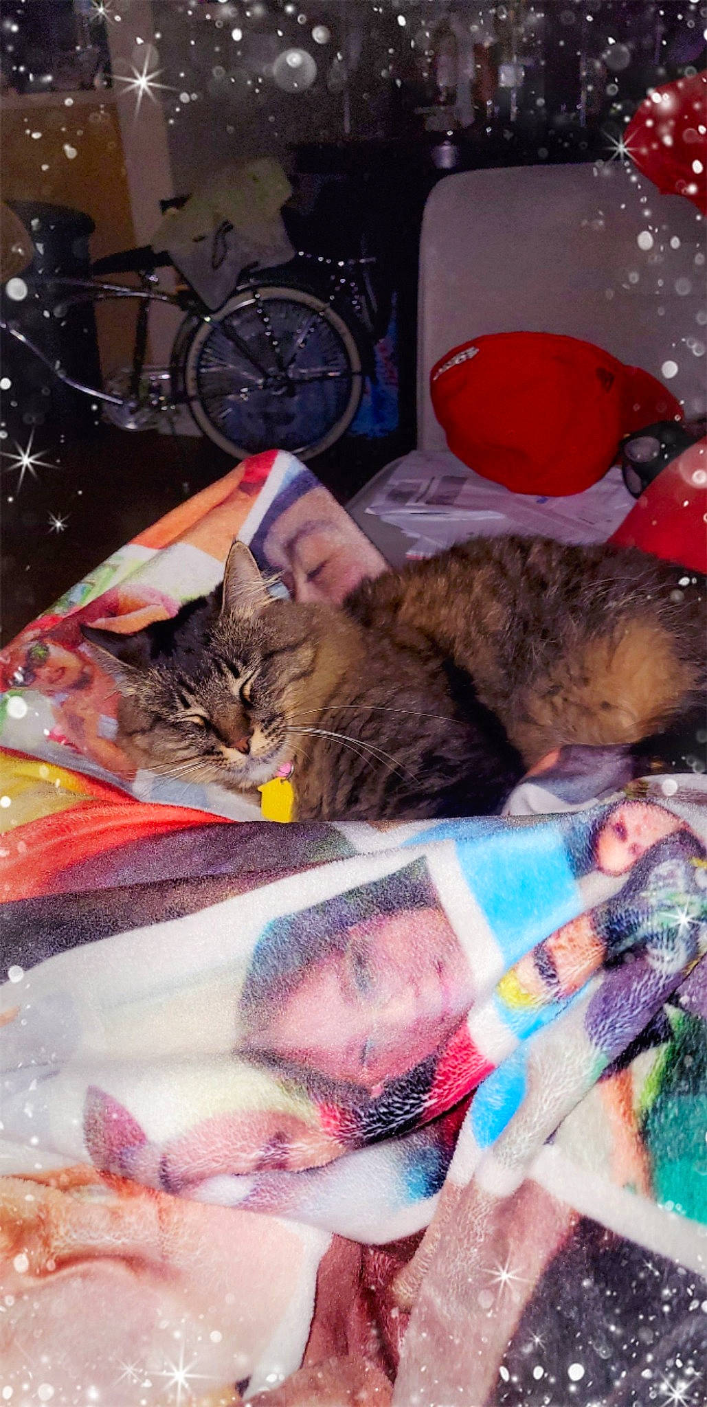 Fluffy joined the competition — help win amazing prizes! bicycle_wheel, carnivore, cat, claw, comfort, domestic_short_haired_cat, felidae, fur, linens, musical_instrument, pattern, paw, pink, small_to_medium_sized_cats, tail, textile, tire, vertebrate, wheel, whiskers
