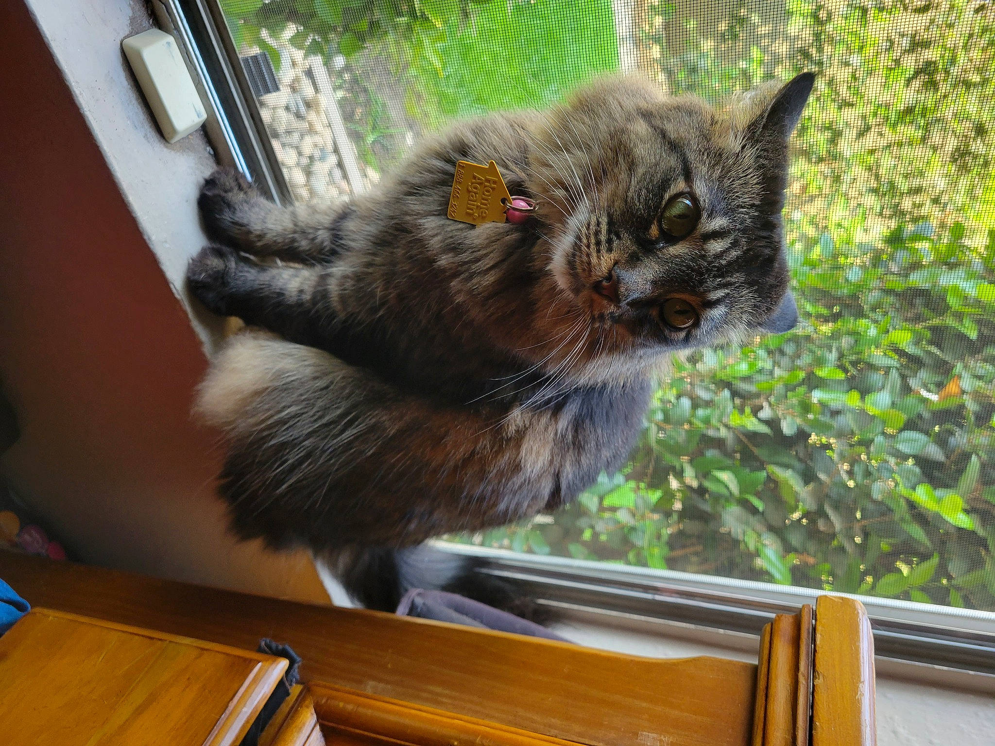 Fluffy
