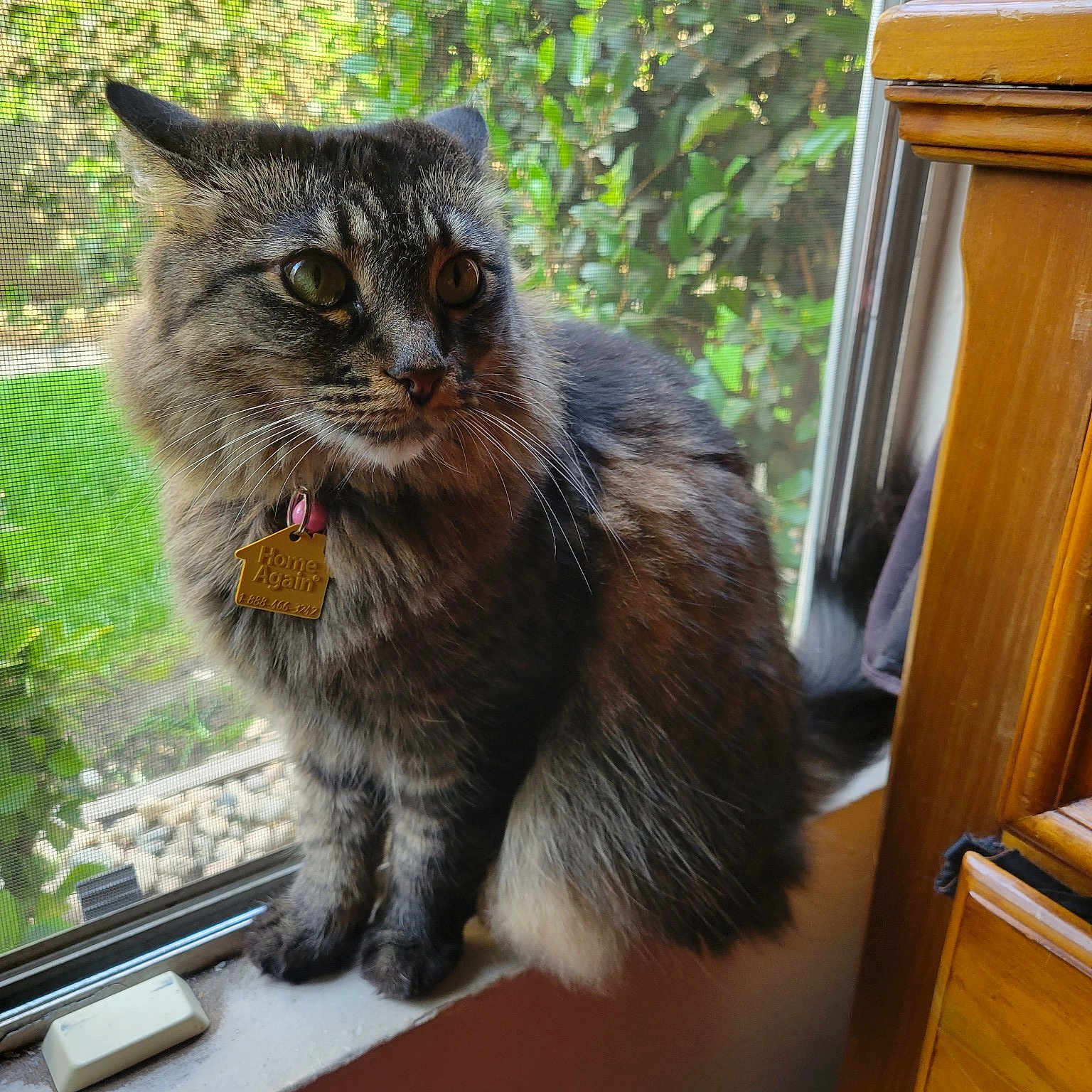 Fluffy