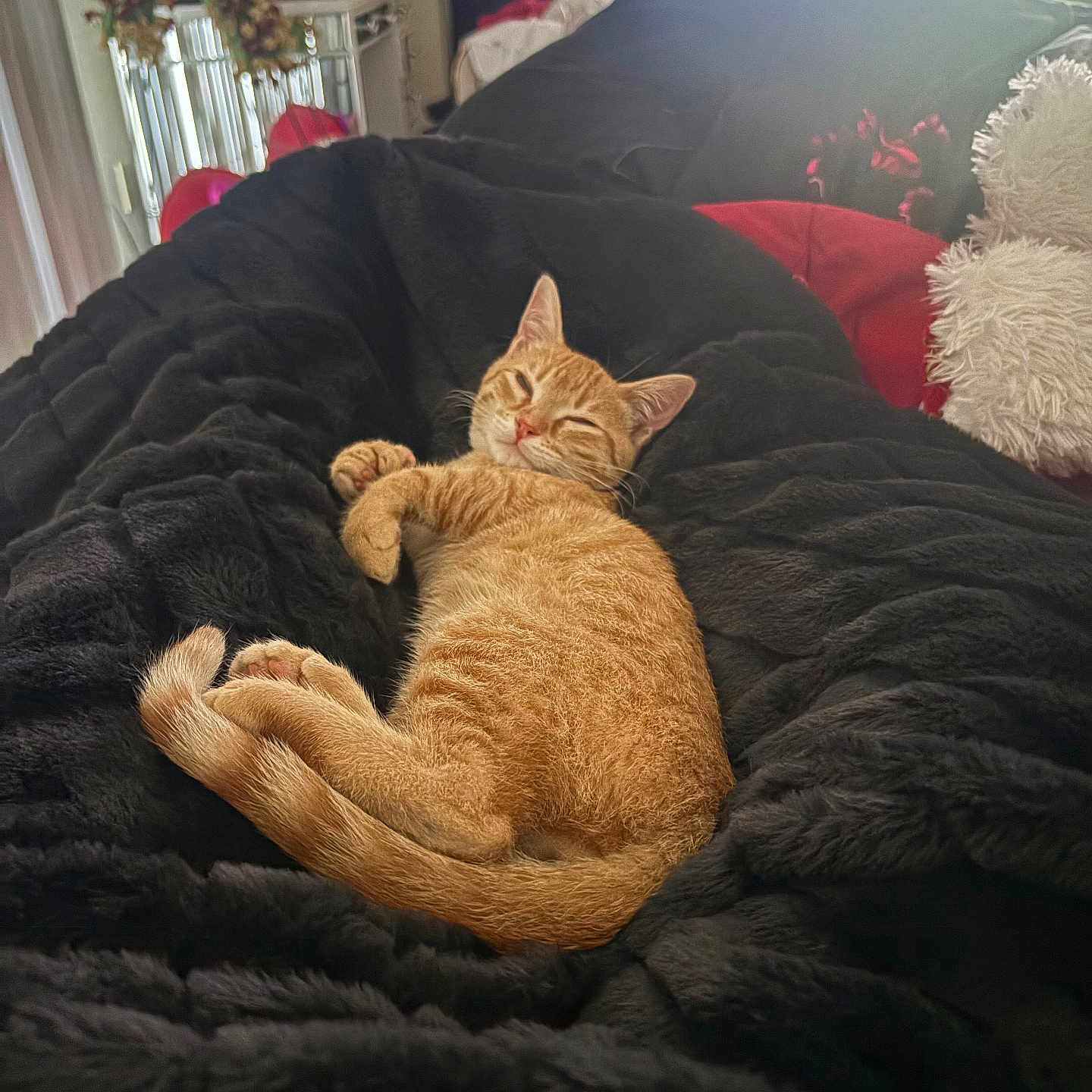 Arlo