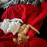 Arlo is registered to the contest to win money with this photo: animal, blanket, cat, comfort, cozy, cushion, cute, feline, fur, home, indoor, orange_tabby, pattern, pet, red, relaxation, resting, sleeping, soft, towel