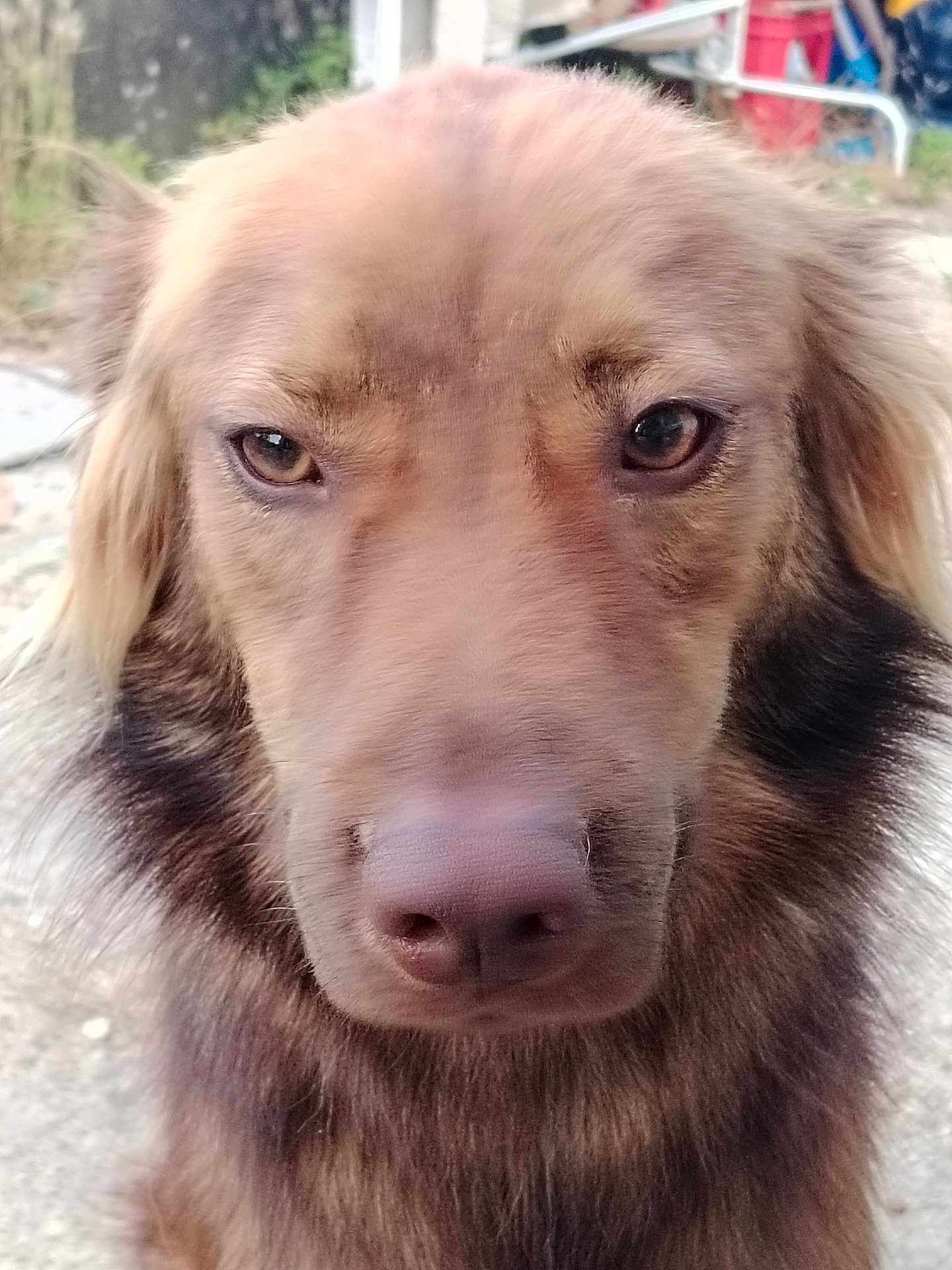 Rio