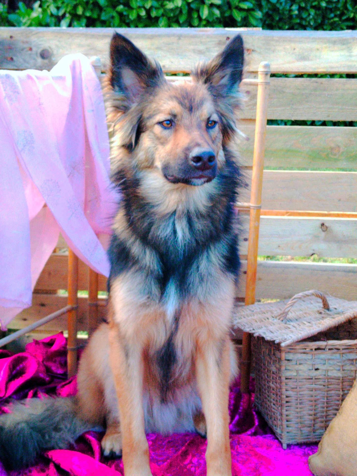 Usko