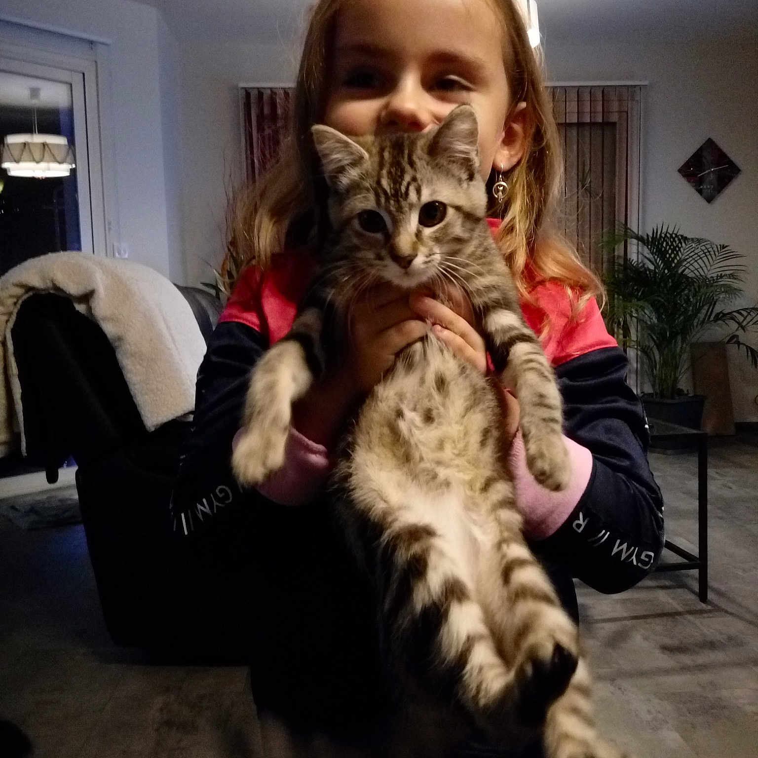 Maya