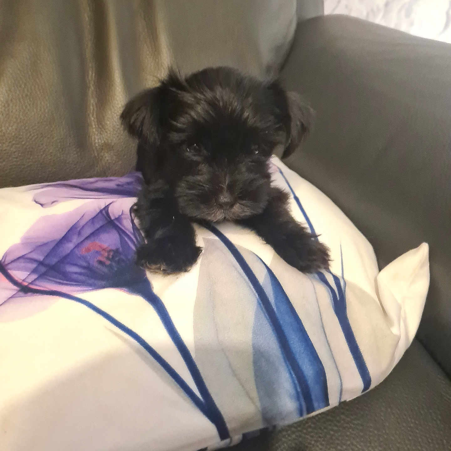 Rosie