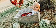 Lucas joined the competition — help win amazing prizes! baby, metal_tub, water, strawberries, grass, watermelon, chickens, tire, outdoor, nature, child, summer, farm, animal, playful, cute, person, sunlight, daylight, garden