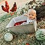baby, metal_tub, water, strawberries, grass, watermelon, chickens, tire, outdoor, nature, child, summer, farm, animal, playful, cute, person, sunlight, daylight, garden