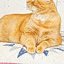 cat, orange_cat, tabby, green_eyes, paws, loaf, quilt, flag, indoor, bed, pet, feline, close_up, portrait, relaxed, decor, wall_art, pattern, home, domestic_animal