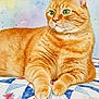 orange_tabby, cat, green_eyes, paws, whiskers, quilt, floral_pattern, bed, watercolor_painting, painting, indoor, american_flag, electrical_outlet, beaded_chain, emblem, wall_art, cozy, portrait, fur, domestic_cat