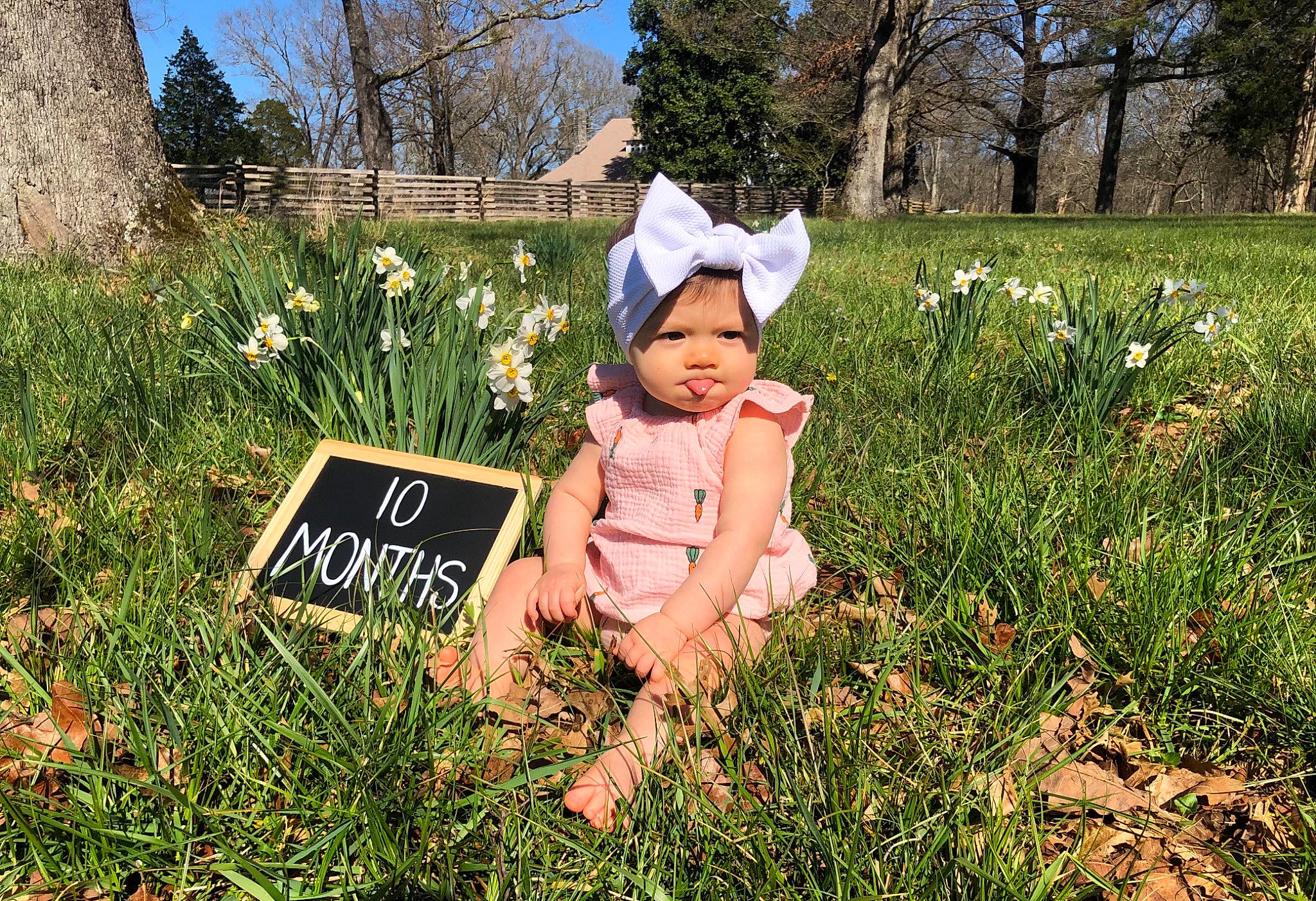 Evie joined the competition — help win amazing prizes! baby, baby_toddler_clothing, botany, flower, grass, grass_family, grassland, groundcover, happy, hat, headwear, landscape, leaf, meadow, natural_landscape, people_in_nature, person, plant, sky, sun_hat