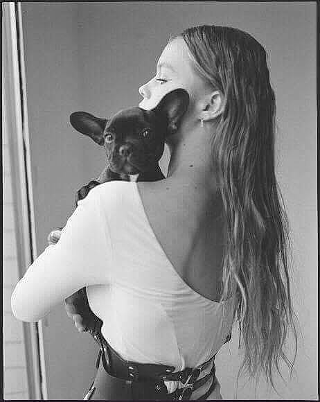 Nachos participe au concours pour gagner de l'argent avec cette photo : beauty, black_and_white, canidae, ear, french_bulldog, hair, hairstyle, long_hair, model, monochrome, monochrome_photography, neck, non_sporting_group, photo_shoot, photography, shoulder, smile, style, white