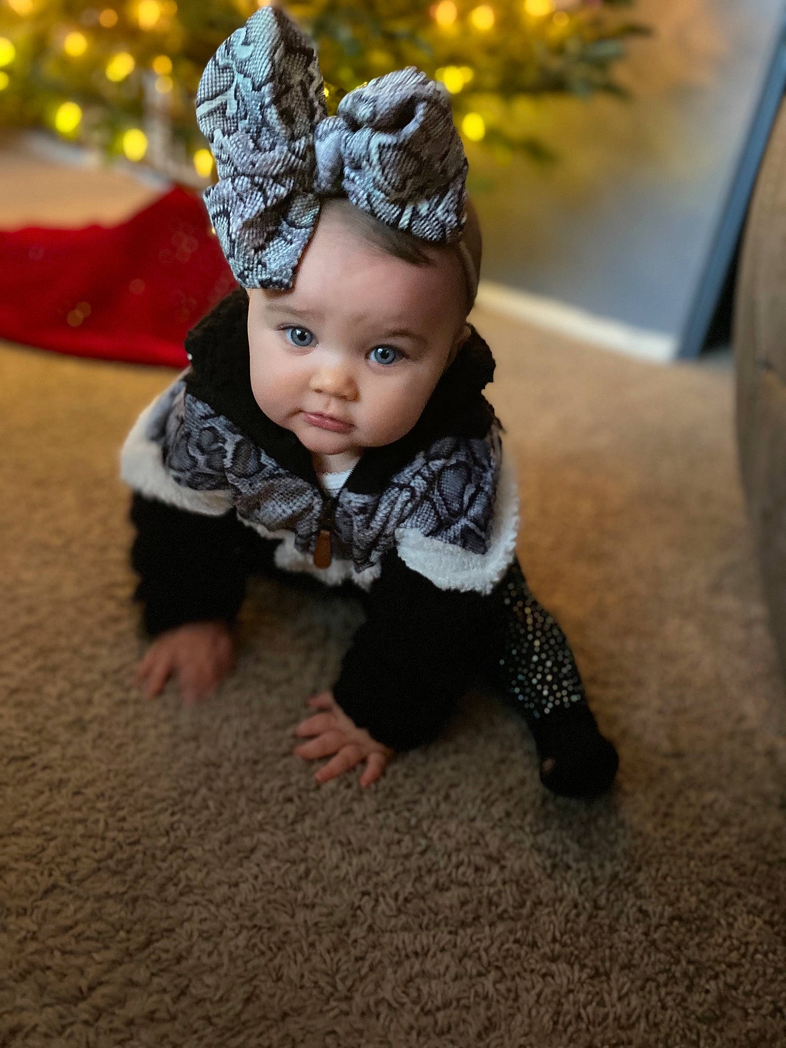 Greycyn joined the competition — help win amazing prizes! baby, cheek, child, crown, dress, ear, eye, fashion_accessory, floor, hair_accessory, head, headband, headgear, headpiece, iris, leaf, person, photography, skin, toddler