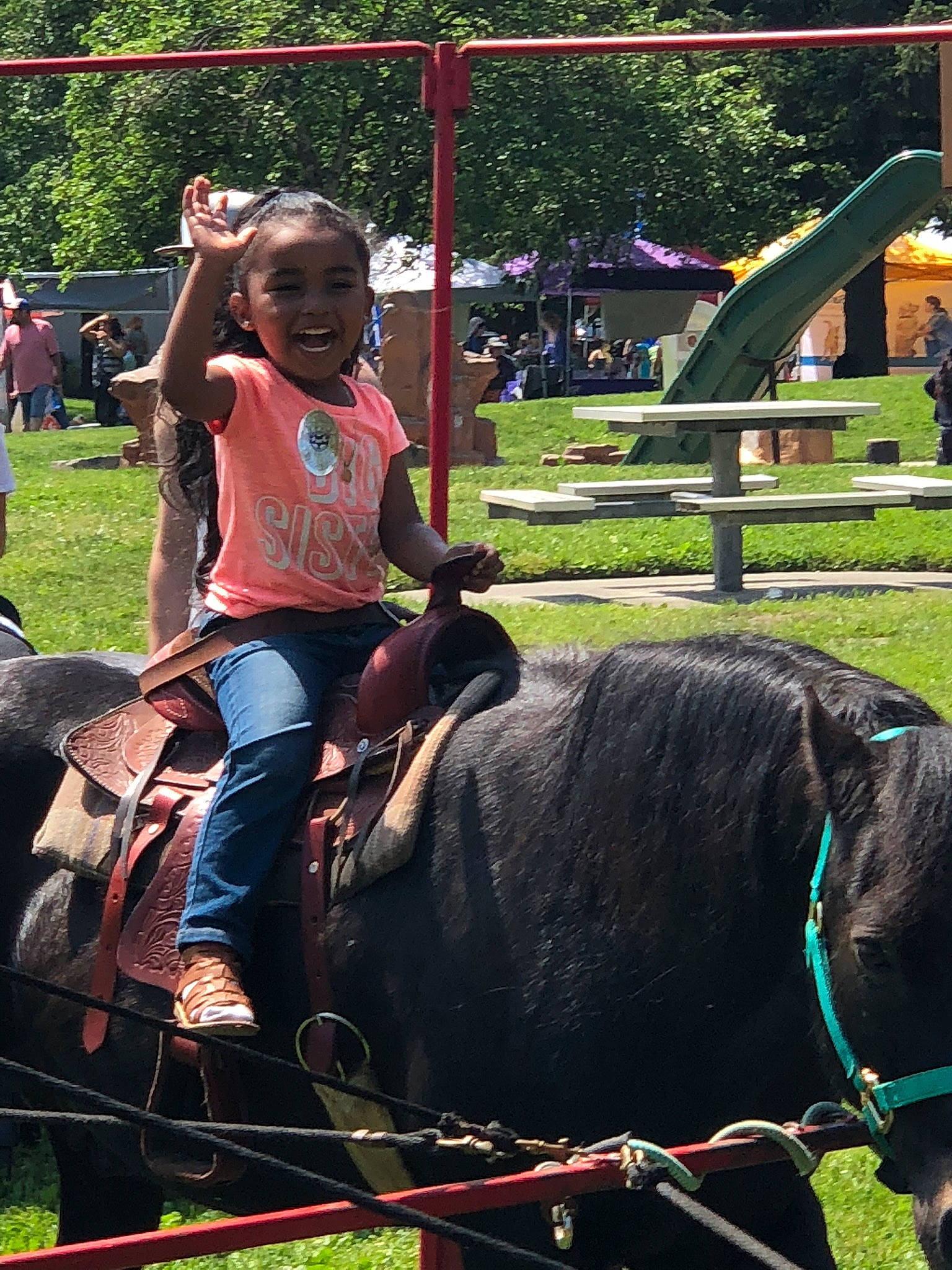 Nayellie is registered to the contest to win money with this photo: child, fun, grass, horse, horse_like_mammal, joy, livestock, mammal, pack_animal, person, plant, tree, vertebrate