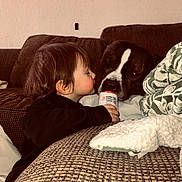 Zayn joined the competition — help win amazing prizes! toddler, child, dog, bottle, couch, blanket, living_room, curious, face, pet, furniture, indoor, brown, cute, friendship, cozy, person, animal, black_clothing, home